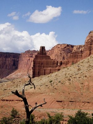 Line - Capitol Reef National Park, Utah