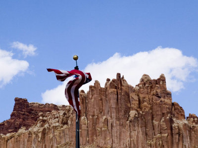 Unfurling - Capitol Reef National Park, Utah