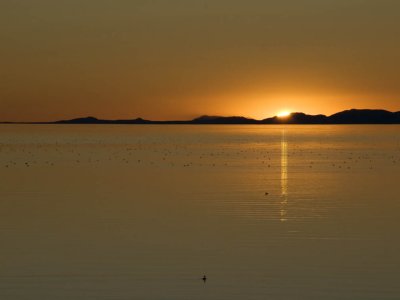 Goodnight Antelope Island State Park, Utah September 2006