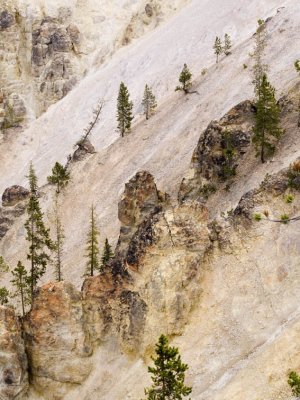 ::GALLERY Yellowstone: Geology, Wildlife and Drama:  September 2006