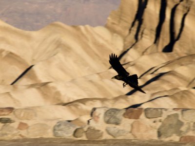 Preparing to Land Death Valley, California  February 2007