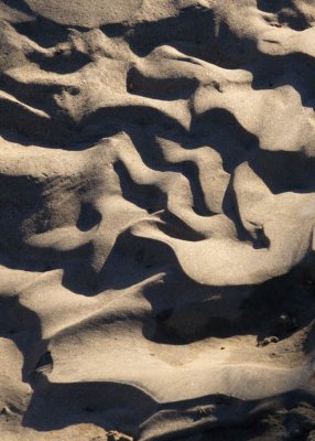 Dunelettes Death Valley, California  February 2007