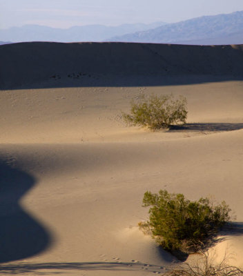 <B>Softness</B> <BR><FONT SIZE=2>Death Valley, California  February 2007</FONT>