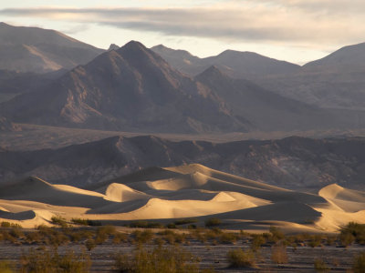 Dune Morning Death Valley, California February 2007