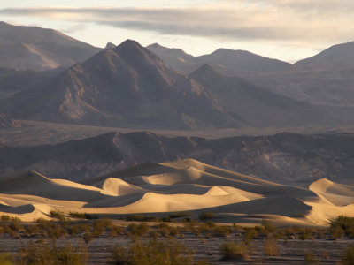 Dune Morning Death Valley, California  February 2007