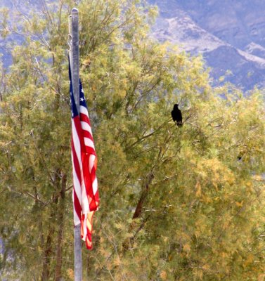 <B>Farewell</B> <BR><FONT SIZE=2>Death Valley, California  February 2007</FONT>