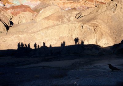 Watchers Death Valley, California February 2007