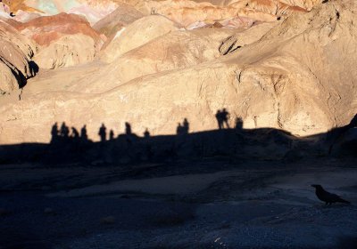 Watchers Death Valley, California  February 2007