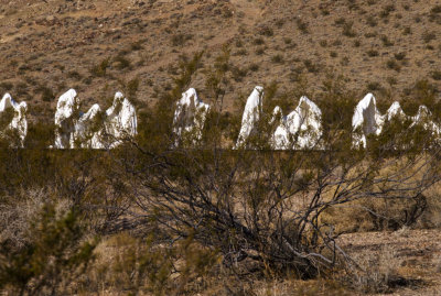 Ghost Town Ghosts Rhyolite, Nevada  February 2007