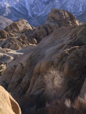 <B>Surprised by Light </B> <BR><FONT SIZE=2>Alabama Hills, California, February 2007</FONT>