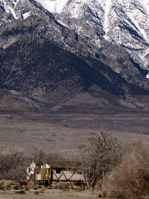 Majesty and Confinement Manzanar National Monument, California February 2007