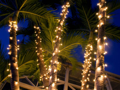 Palm Lights Maui, Hawaii, December 2006