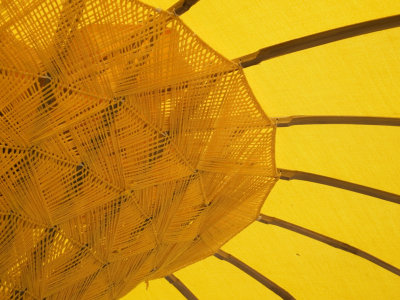 <B>Sunny Sun Shield</B> <BR><FONT SIZE=2>Himalayan Fair, Berkeley, California, May 2007</FONT>