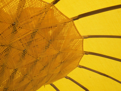 Sunny Sun Shield Himalayan Fair, Berkeley, California, May 2007