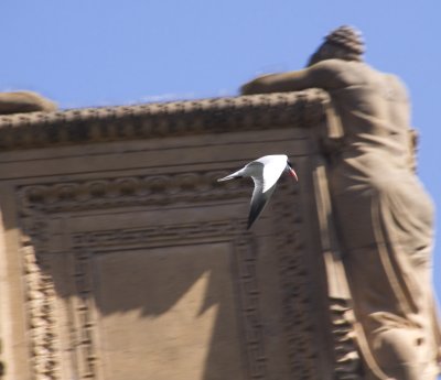 Flight San Francisco, California, 2007