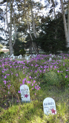 Snafu and Barney  Pet Cemetery, Presidio, San Francisco, CA, 2007