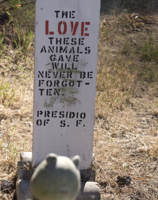 Never Forotten Pet Cemetery, Presidio, San Francisco, CA, 2007