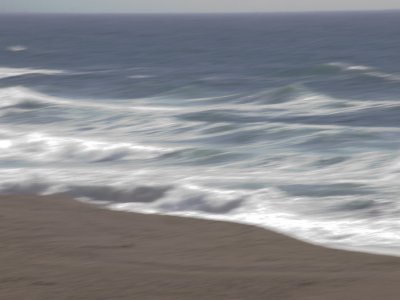 Pacific Colors Point Reyes National Seashore, Califorinia, June, 2007