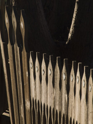 Fence Light Inverness, California, June, 2007