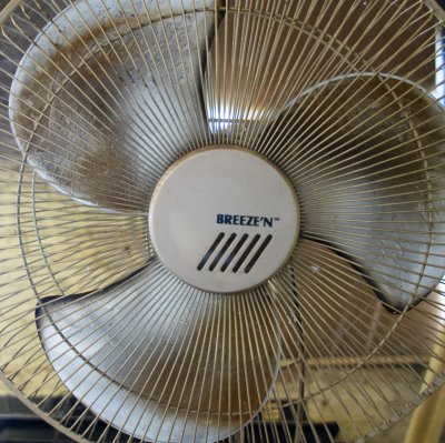 <B>Fouled Fan</B> <BR><FONT SIZE=2>Sunset Line & Twine, Petaluma, California, August 2007</FONT>