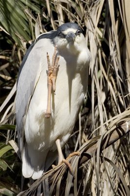 Baylands