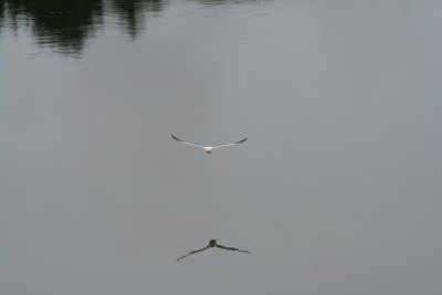 oregon