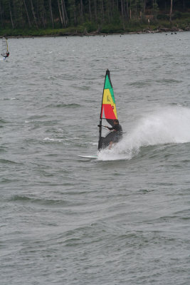 Hood River Windsurfer