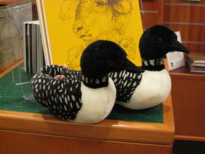coupleofloons.jpg