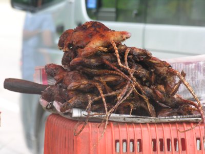 Fried Rats & Birds