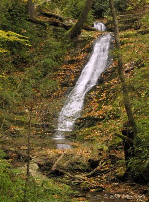 Hickory Branch Falls