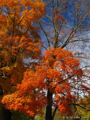 Autumn in the Carolinas - October 2006