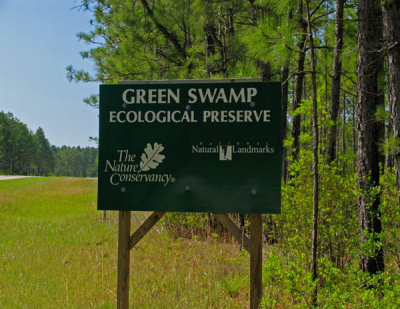Now entering The Green Swamp Nature Preserve