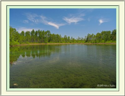 Big Pond at Green Swamp