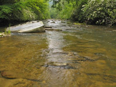 North Fork of French Broad River