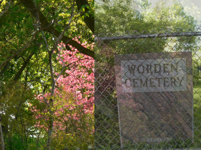Worden Cemetery Washtenaw County Michigan