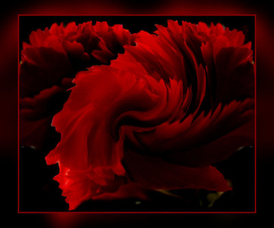 g6/61/4561/3/72507795.8PTL3W0s.jpg