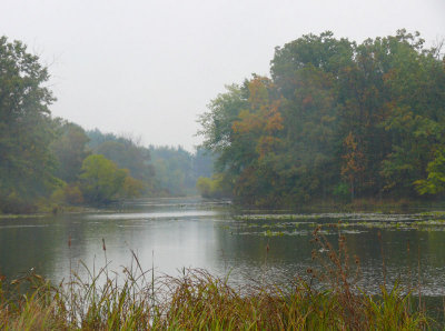 10/16 Some Colors through Rain