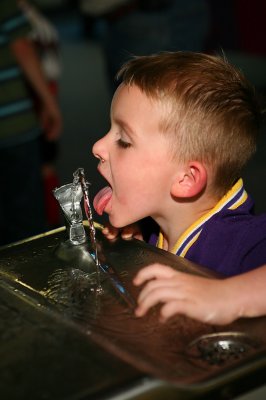 IMG_7436.jpg
