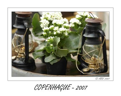 DSC_0710 copie.jpg