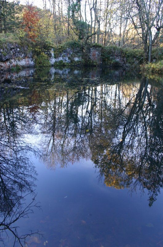 another dog pond shot.