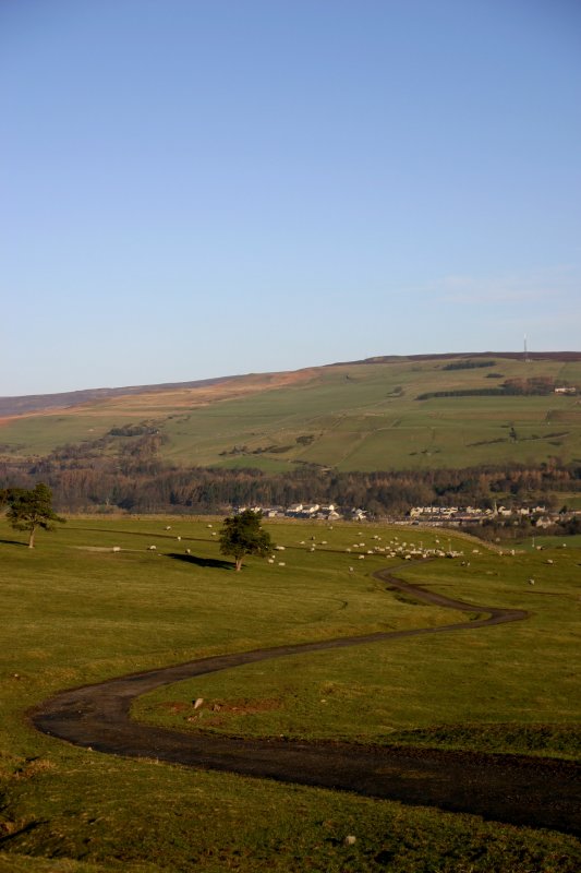 looking back down our lane