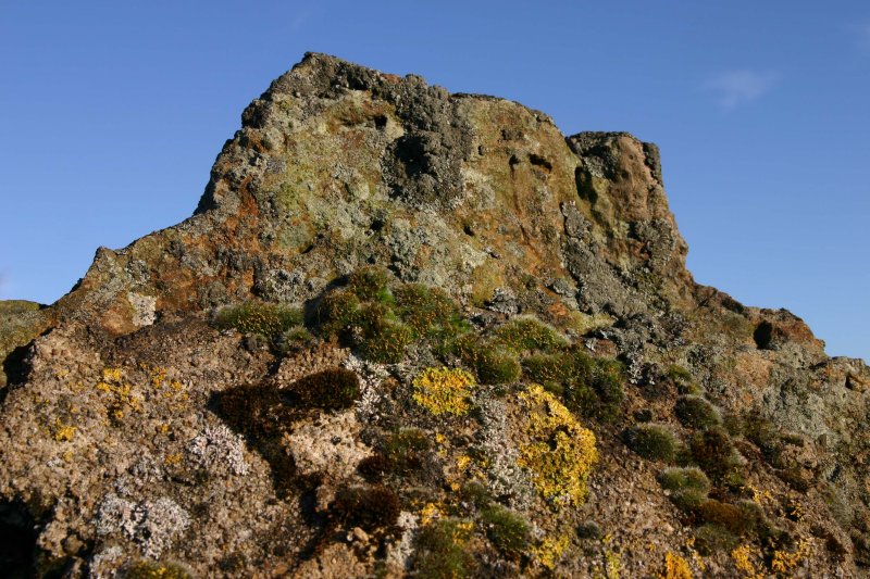 Mount Drystone