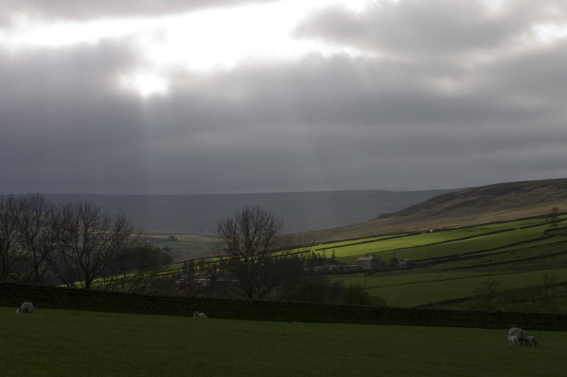 Bollihope valley on a cloudy afternoon