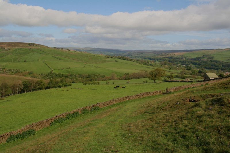 Fine House and Hill End