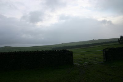 20050802 006.jpg