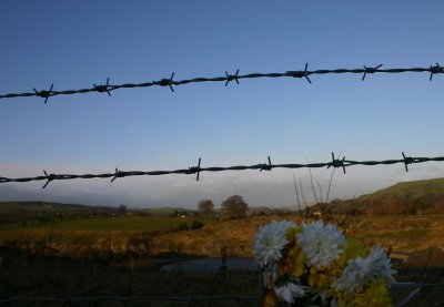 bouquet and barbed wire.
