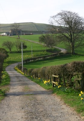 West Biggins