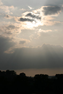 Crepuscular