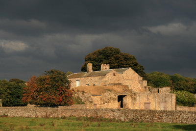 Bradley Hall
