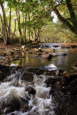 Bollihope burn